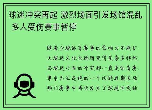 球迷冲突再起 激烈场面引发场馆混乱 多人受伤赛事暂停